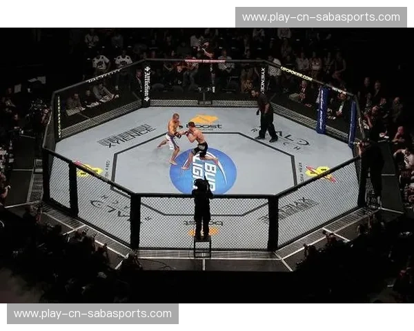 集锦UFC—八角笼里的极致瞬间